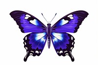 Purple Emperor Butterfly butterfly insect animal. 