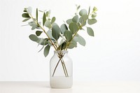 Vase flower plant leaf. AI generated Image by rawpixel.