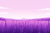 Lavender field backgrounds landscape outdoors. 