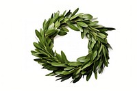 Wreath leaf plant white background. AI generated Image by rawpixel.