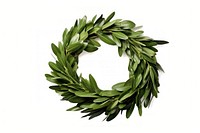 Wreath leaf plant white background. 