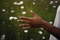Flower hand meadow finger. AI generated Image by rawpixel.