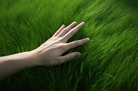 Grass green hand touching. AI generated Image by rawpixel.
