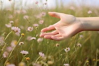 Flower hand outdoors touching. 