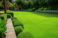 Garden home grass landscaping outdoors. 