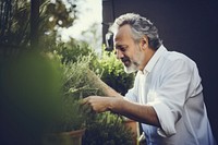 Happy mature man plant gardening portrait. 