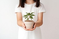 Little girl hand holding potted give windowsill portrait sleeve. AI generated Image by rawpixel.