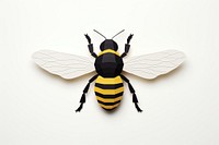 Bee bee insect animal. 