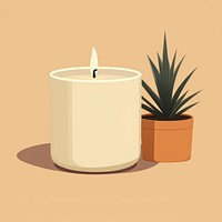 Candle plant houseplant flowerpot.