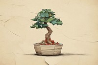 Potted bonsai plant tree art. 