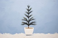 Potted snow pine plant tree fir. 