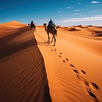 photography of camel in desert landscape . 