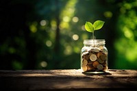 photo of coins in a mason jar, with a small sprout. 