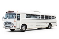 Tour bus vehicle white background transportation. 