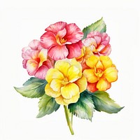Watercolor flower petal plant. AI generated Image by rawpixel.