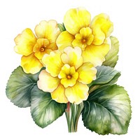 Watercolor flower plant petal. AI generated Image by rawpixel.