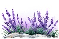 Lavender flower blossom purple. AI generated Image by rawpixel.