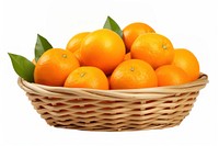 Fruit basket grapefruit orange plant. 