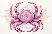 Horoscope Cancer seafood crab microbiology. 