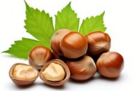 Hazelnuts vegetable plant food. 