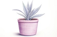 Plant white background bromeliaceae houseplant. AI generated Image by rawpixel.