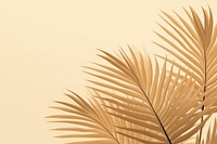 Palm leaves backgrounds outdoors pattern. 