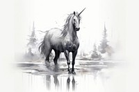 Unicorn stallion drawing animal. 