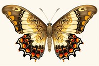 Vintage butterfly animal insect white background. 