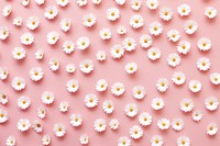 Wallpaper pattern flower daisy backgrounds. 