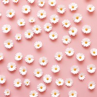 Wallpaper pattern flower daisy backgrounds. 