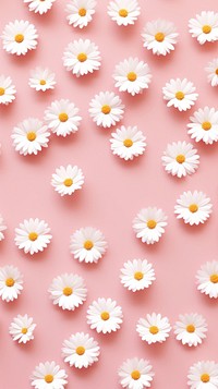 Wallpaper pattern flower daisy backgrounds