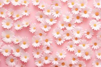 Wallpaper pattern flower daisy backgrounds. 