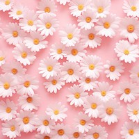 Wallpaper pattern flower daisy backgrounds