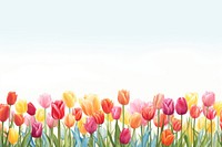 Tulip flower field backgrounds outdoors nature. 