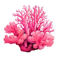 Coral nature water sea. AI generated Image by rawpixel.