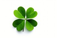 Four-leaf clover plant green herbs. AI generated Image by rawpixel.