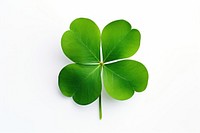 Plant leaf freshness clover. AI generated Image by rawpixel.