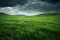 Grass field landscape grassland outdoors. 