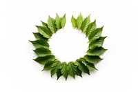 Leaf crown plant green white background. AI generated Image by rawpixel.