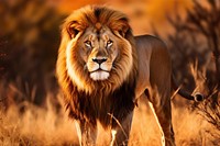 Wildlife outdoors savanna mammal. AI generated Image by rawpixel.