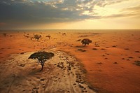 Savanna landscape outdoors horizon. 