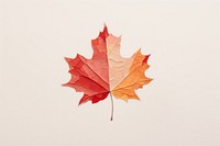 Maple leaf autumn plant tree. AI generated Image by rawpixel.