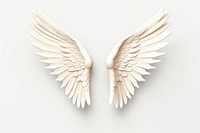 Angel wing white bird white background. 