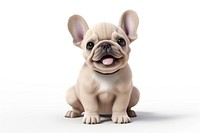 French bulldog animal mammal cute. 