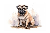 Dog pug animal mammal. 