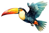 Toco toucan flying bird animal beak. AI generated Image by rawpixel.
