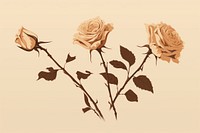 Dried roses flower plant inflorescence. AI generated Image by rawpixel.