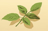Basil leaf plant herbs annonaceae. AI generated Image by rawpixel.