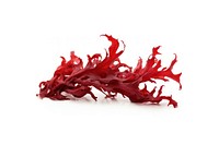 Seaweed red white background splattered. AI generated Image by rawpixel.