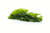 Seaweed vegetable plant leaf. AI generated Image by rawpixel.